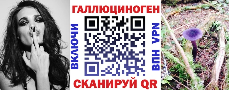Псилоцибиновые грибы мицелий цены Беломорск